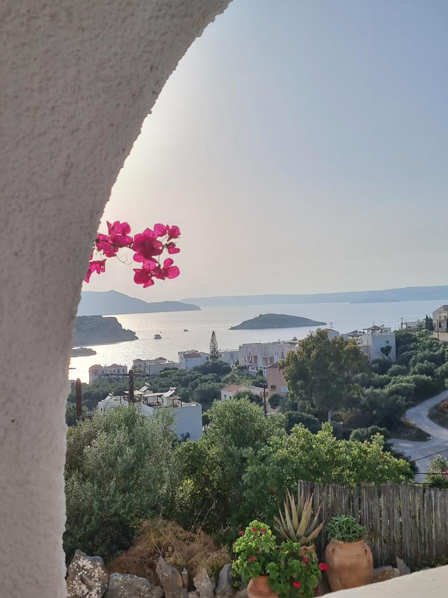 7 Olives Almyrida (Crete)
